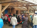 20160116_134733.jpg
